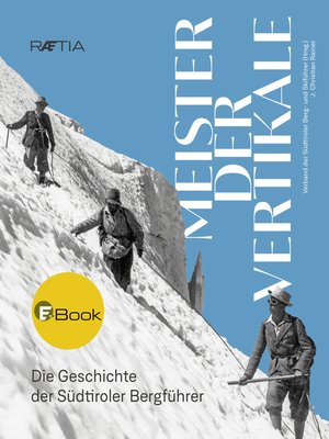 cover image of Meister der Vertikale